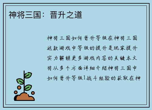 神将三国：晋升之道